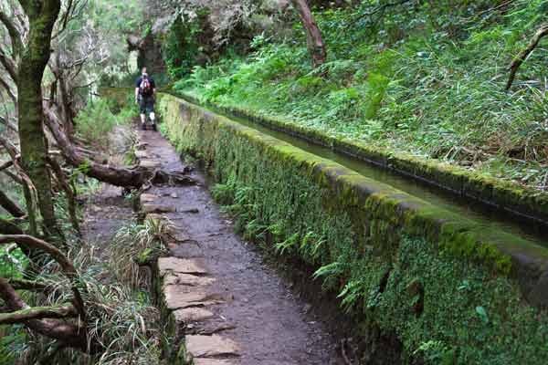 Wandern entlang an Levadas ist nur auf Madeira möglich.