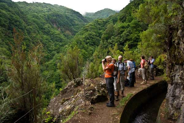 Wanderurlaub auf Madeira: Wander an einer Levada.