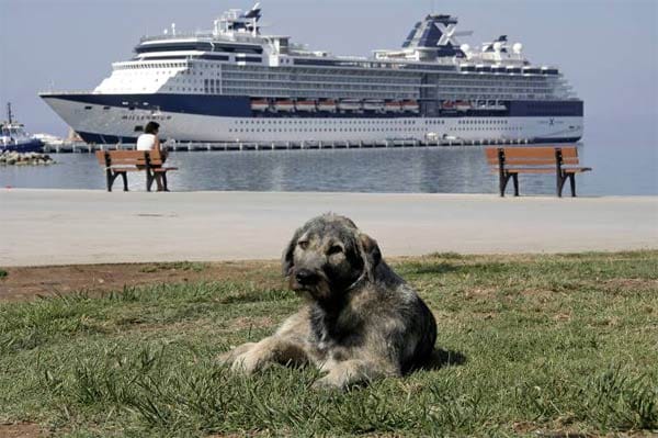 Wenn ein Hund regelmäßig sein Geschäft an Deck eines Kreuzfahrtschiffes verrichtet, gibt es für naserümpfende Touristen kein Geld zurück. So entschied das Amtsgericht Offenbach.