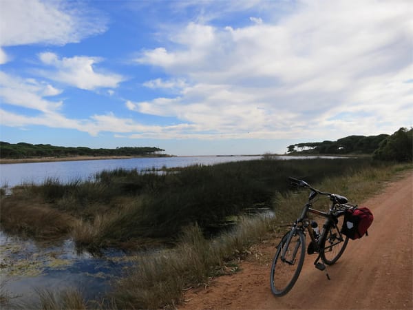 Algarve: Parque Natural da Ria Formosa.