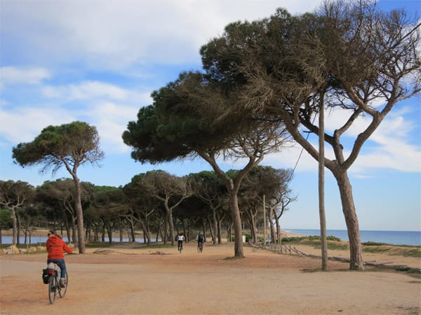 Algarve: Quinta do Lago.