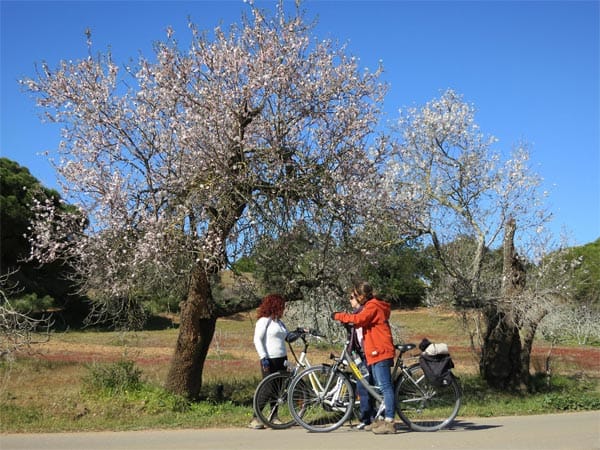 Radfahren an der Algarve: Landstraße.