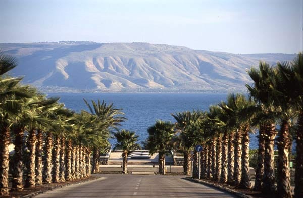 Blick auf den See Genezareth.