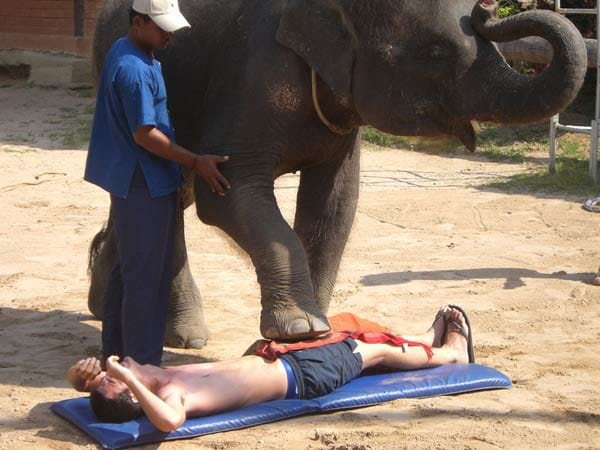 Elefanten als Masseure? In Thailand ist diese Form der Entspannung sehr beliebt.