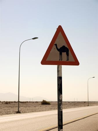 Achtung, Kamele kreuzen.