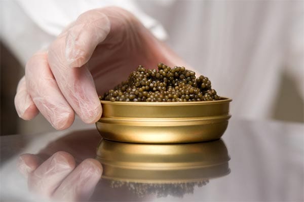 Echter Kaviar muss nicht immer schwarz sein - "Schrencki-Kaviar" vom "Amur"-Stör etwa besitzt eine grün-bräunliche Farbe.