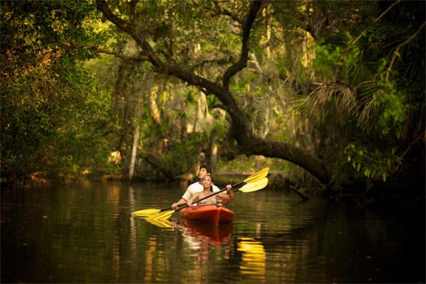 Kanufahrer in den Mangrovenwäldern Floridas.