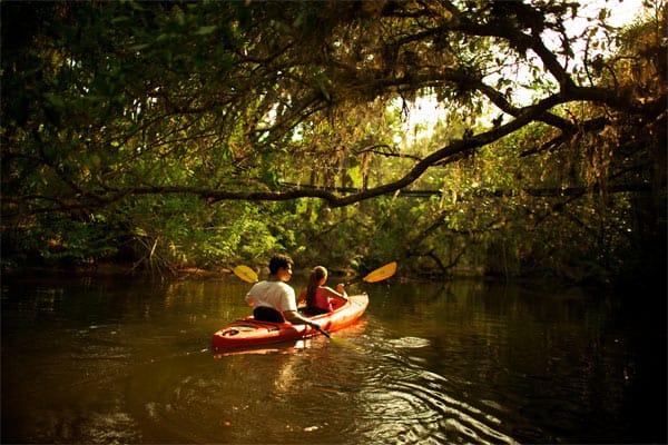 Kanufahren auf dem Estero River/Florida.