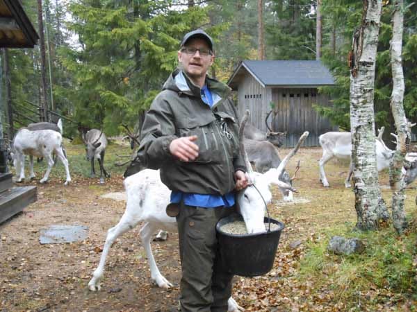 Im Salla Reindeer Park Jotos erklärt ein Guide alles über die wilden Rentier-Herden Lapplands.