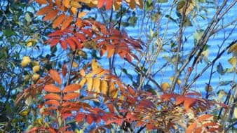 "Colorfull Season" in Finnland.