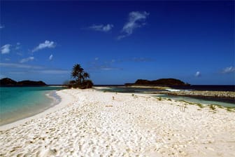 Der weiße Sandstrand von Sandy Island - ein kleines Eiland im Nordosten der Hauptinsel Grenada.