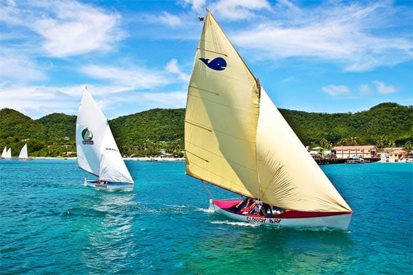 Segelboote bei einer Regatta um die Insel Carriacou. Sportlich ambitionierte Urlauber sind also bestens aufgehoben.
