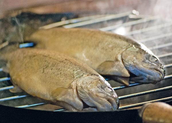Klassiker für den heißen Rauch sind zweifelsohne Fische, die vor dem Räuchern einige Stunden in einer Salzlake "schwimmen" und anschließend sorgfältig trocknen müssen.