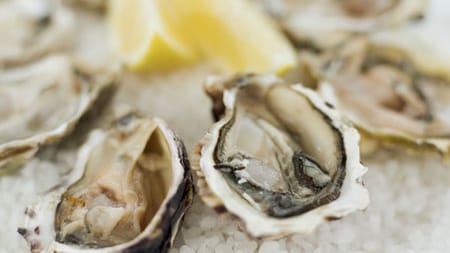 Für viele Gourmets reichen schon ein paar Spritzer Zitrone, Pfeffer und Salz, um den Austern-Genuss perfekt zu machen. Da bei Austern die Frische ganz entscheidend ist, gilt: je früher sie nach der Entnahme aus dem Wasser verzehrt werden, umso besser.