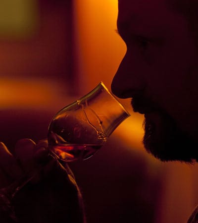 In Deutschland gab es 2010 laut dem "Bundesverbandes der Deutschen Spirituosen-Industrie" rund sechs Millionen regelmäßige Whisky-Konsumenten. Insgesamt wurden etwa 64 Millionen Flaschen verkauft - davon 45 Prozent Bourbon, 40 Prozent Scotch, sechs Prozent Malt Whisky und neun Prozent sonstige Sorten. Somit liegt der deutsche Pro-Kopf-Verbrauch bei einem halben Liter Whisky.
