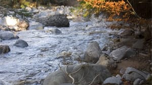 Wenn Wasser zu Whisky wird: Das Wasser beeinflusst die charakteristische Aromenvielfalt und die Leichtigkeit eines Whiskys. Gute Destiillerien verwenden nur reines Quellwasser.