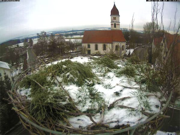 Die Storchen-Webcam in Gögglingen bei Ulm.
