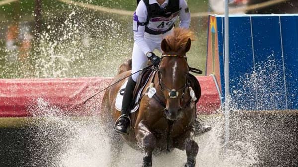 Sandra Auffarth gehört 2012 der Mannschaft der Vielseitigkeitsreiter in London an. Sie holt auf ihrem Pferd Opgun Louvo nicht nur Bronze im Einzel, sondern auch Gold mit der Mannschaft. Im November wird ihr das Silberne Lorbeerblatt verliehen.