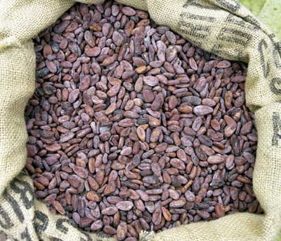 Nach dem Trocknen werden die Bohnen in Säcke gefüllt - dann erst ist der Rohkakao fertig für den Transport in kakaoverarbeitende Länder.