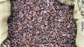 Nach dem Trocknen werden die Bohnen in Säcke gefüllt - dann erst ist der Rohkakao fertig für den Transport in kakaoverarbeitende Länder.