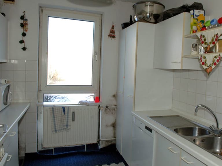 Schimmel in der Küche