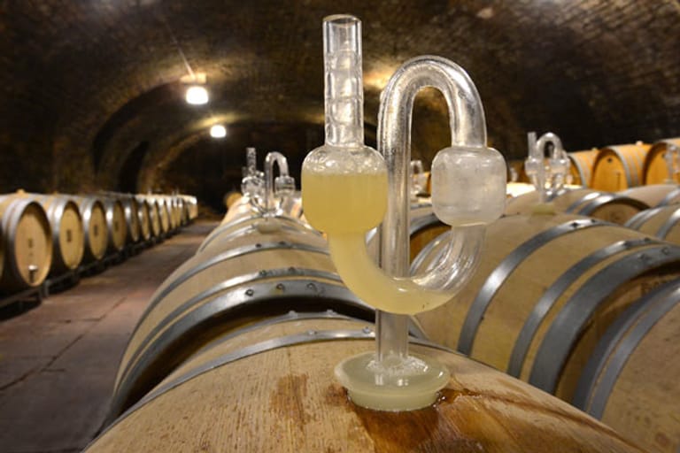 Auf dem Weingut von Winning in Deidesheim gärt und reift der Weißwein traditionell im Holzfass. Durch die Glaskolben entweicht die Kohlensäure, die bei der Gärung entsteht.