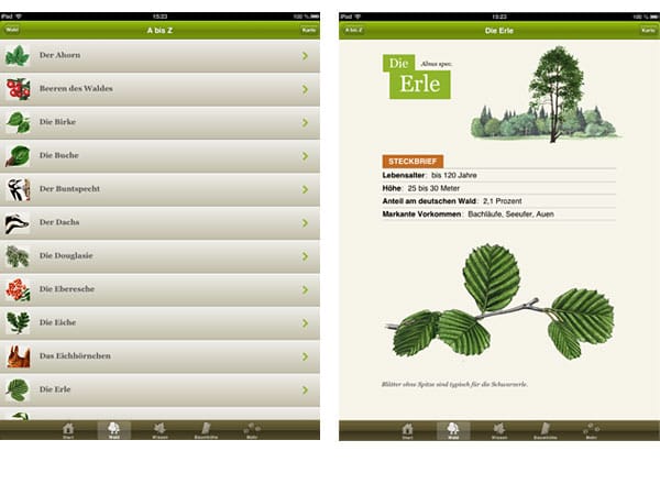 Mit der Waldfibel kann man Tiere und Pflanzen bestimmen, Bäume messen und sein Wissen in einem Quiz testen. Für Android und iOS.