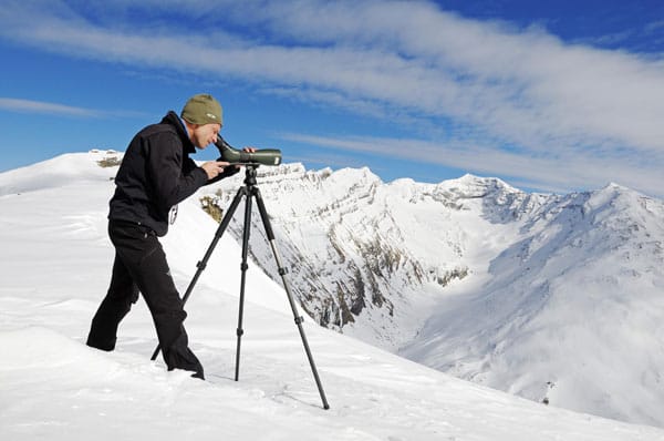 Nationalpark-Ranger Konrad Mariacher beobachtet Tiere in Fleißtal, Hohe Tauern, mit dem Fernrohr.