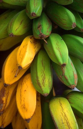 Und in den Bananen- und Mangoplantagen reifen bereits die süßesten Früchte. Die Temperaturen im Februar liegen zwischen 14 und 21 Grad. Eine Woche mit Übernachtung und Frühstück im Viersternhotel "Beatriz Atlantis" in Puerto de la Cruz kostet mit Flug pro Person im Doppelzimmer ab 465 Euro.