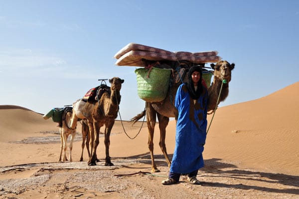 Karawanenführer Fouad mit Kamelen in der Sahara in Marokko.