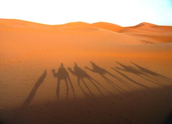 Kameltrekking in Marokko.