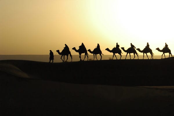 Kamelkarawane in der Wüste.