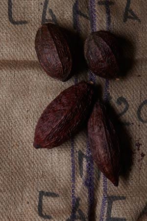 Bei den New Yorker Mast Brothers kommen nur edelste Kakaobohnen aus kontrollierten Kooperativen Südamerikas zum Einsatz. Verarbeitet wird das Ganze tatsächlich in New York.