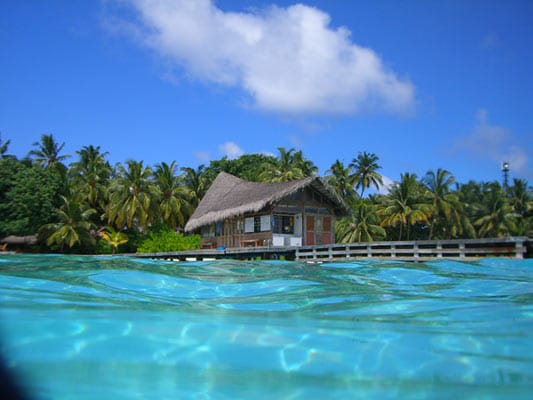 "Kuramathi Island Resort"**** / Rasdhu Atoll: Highlight auf Kuramathi ist das "Eco Centre": Unter der Leitung eines Meeresbiologen widmet sich die Einrichtung voll und ganz dem Schutz und Erhalt der Unterwasserwelt.