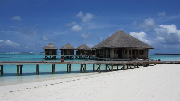 "Meeru Island Resort"**** / Nord-Malé-Atoll: Bananen- und Papayaplantagen, Brotfruchtbäume sowie Kokospalmen prägen das Bild von Meerufenfushi. Der eigentliche Name der Insel bedeutet so viel wie "Süßwasserinsel".
