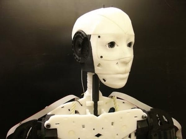 Inmoov ist ein lebensgroßer humanoider Roboter.