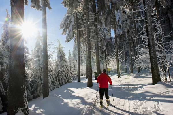 Skilanglauf im Thüringer Wald.