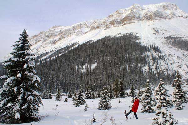 Schneeschuh-Tour durch die Rocky Mountains.