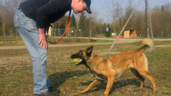 Johannes May und Sally beim Spiel und Training