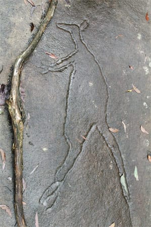 Felsritzung der Darug-Ureinwohner in den Blue Mountains in Australien.