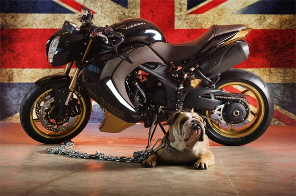 Tierisches Vorbild: Vilner Custom Bike Bulldog mit englischer Bulldogge.