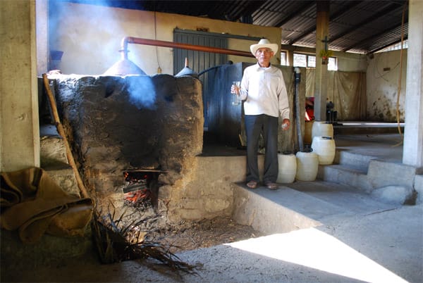 Die Mezcal-Destillerien namens palenques waren traditionell bäuerliche Kleinbrennereien, deren Rohstoffe überwiegend von eigenen Ländereien kamen und zum Eigenkonsum destilliert wurden.