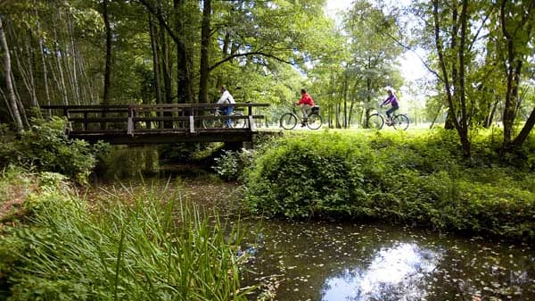 ADFC-Qualitätsradwege: Gurkenradweg.