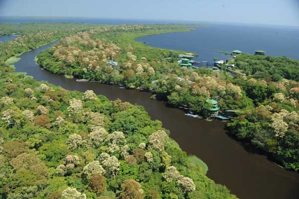 Das Hotel "Ariau Amazon Towers" bietet eine außergewöhnliche Lage im Herzen des brasilianischen Amazonas-Regenwaldes, am Zusammenfluss des Rio Negro und des Anavilhanas Archipelago.