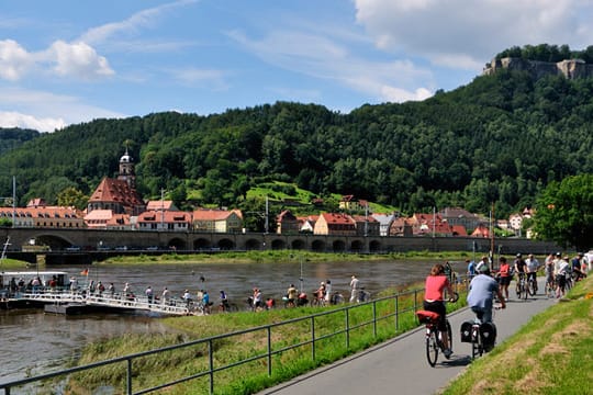 Radfahren auf dem Elberadweg (Königstein).