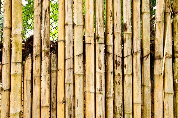 Sichtschutz aus Bambus: Wetterfest und natürlich