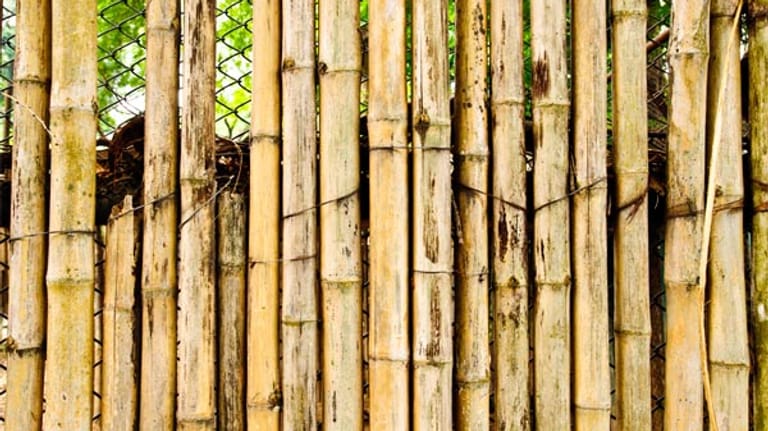 Sichtschutz aus Bambus: Wetterfest und natürlich