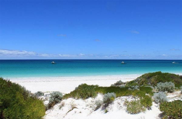Wedge Island/Australien: In der Nähe der Küstenstädtchens Lancelin in Westaustralien liegt ein fast unentdecktes Paradies auf Erden!