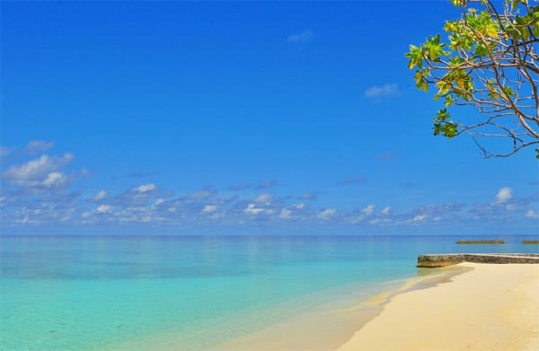 Rasdhu Atoll/Malediven: Die Malediven sind bekannt für ihre unvergleichlich schönen Strände. Das Rasdhu Atoll lockt Besucher mit azurblauem Meer und feinem gold-gelben Sand.