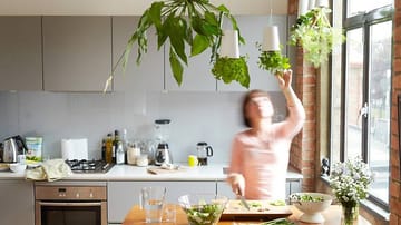 "Hängende Gärten": Küchenkräuter, die kopfüber wachsen